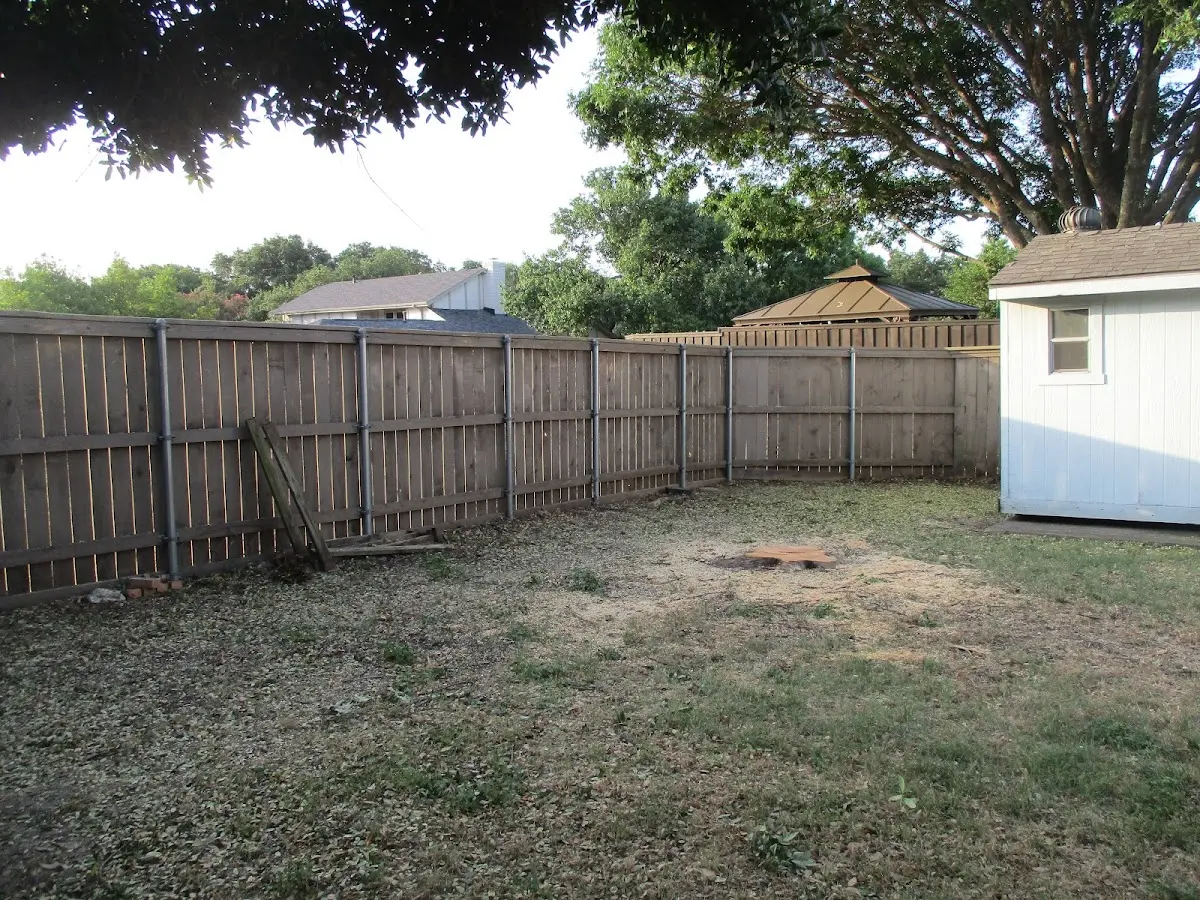 Cleared yard after professional tree removal in Hyannis
